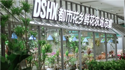 【都市花鄉(xiāng)】植耕長(zhǎng)沙22年，讓人們的生活更加美好